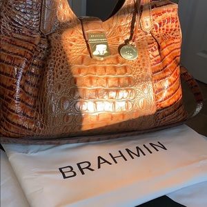 Brahmin Purse